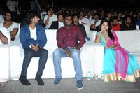 Celebs at Rough Movie Audio Function